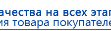 СКЭНАР-1-НТ (исполнение 01)  купить в Череповце, Аппараты Скэнар купить в Череповце, Скэнар официальный сайт - denasvertebra.ru